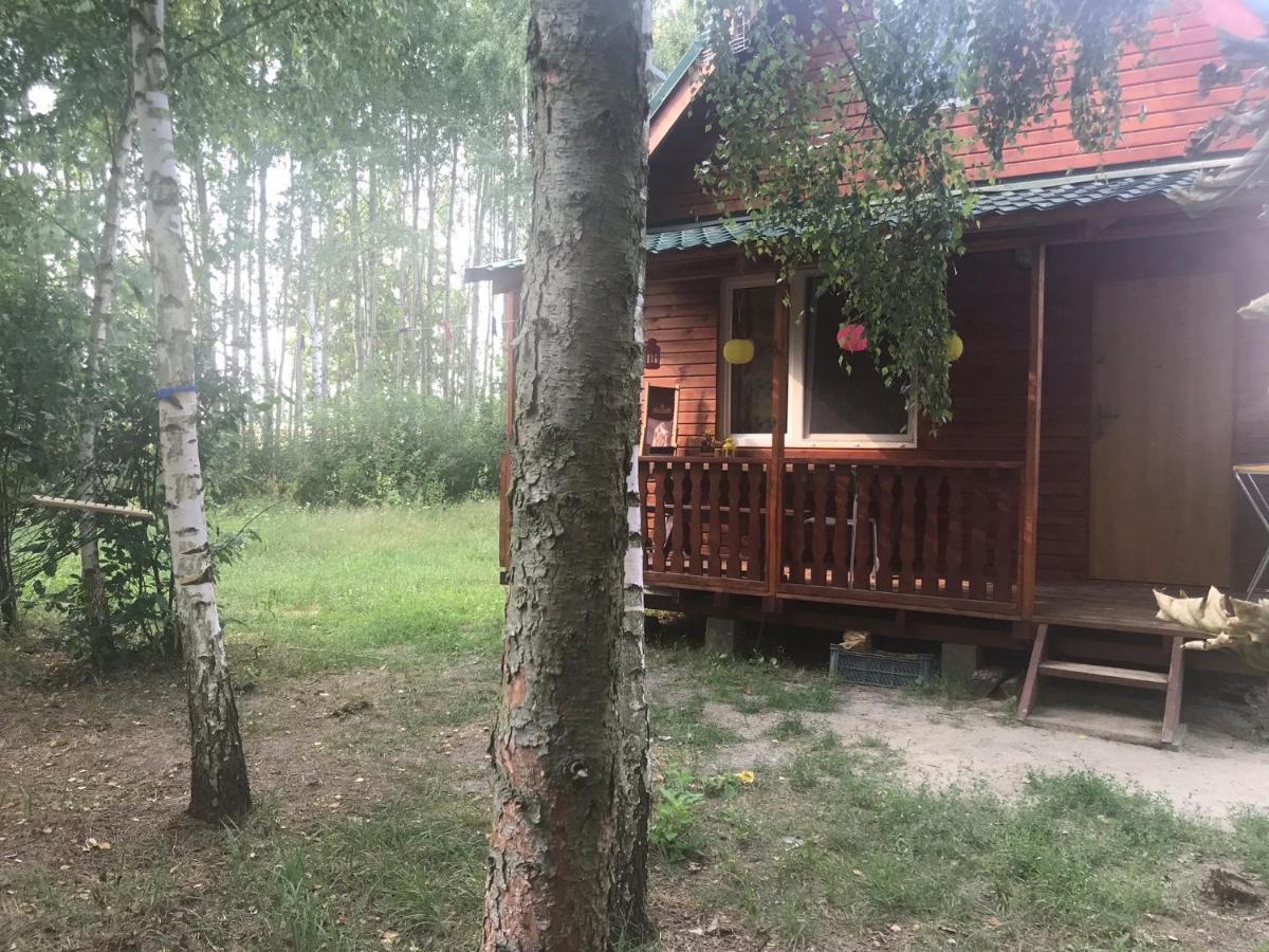 Domki Na Lowisku Admar W Dabiu Lubuskim Dabie  Exterior foto